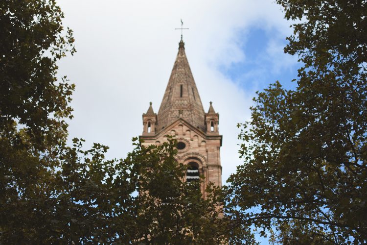 Paroisse du temple neuf feuilles végétaux