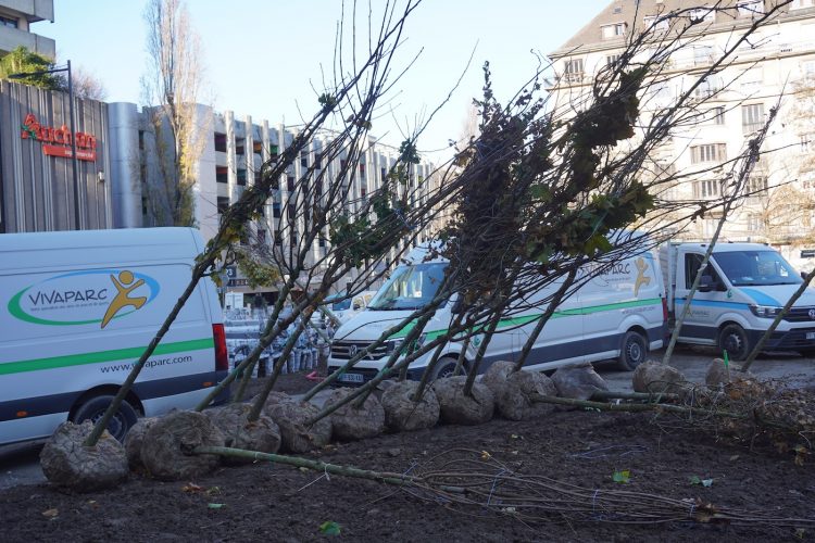 square parc Halles Ilse Totzke