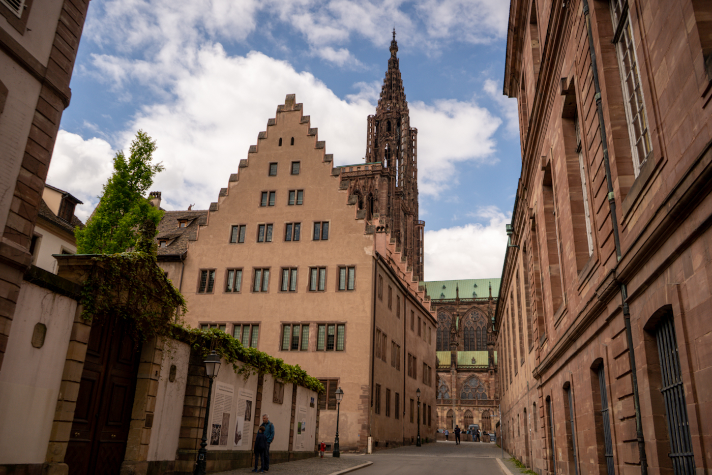 oeuvre notre dame cathédrale