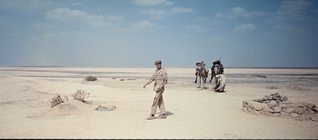 XGIMI Horizon 20 Max