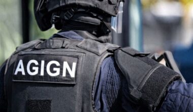 l'auteur des coups de feu interpellé