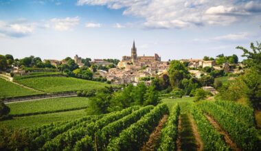 La première édition du Salon des vignerons de Saint-Émilion organisée à Bordeaux les 29 et 30 novembre