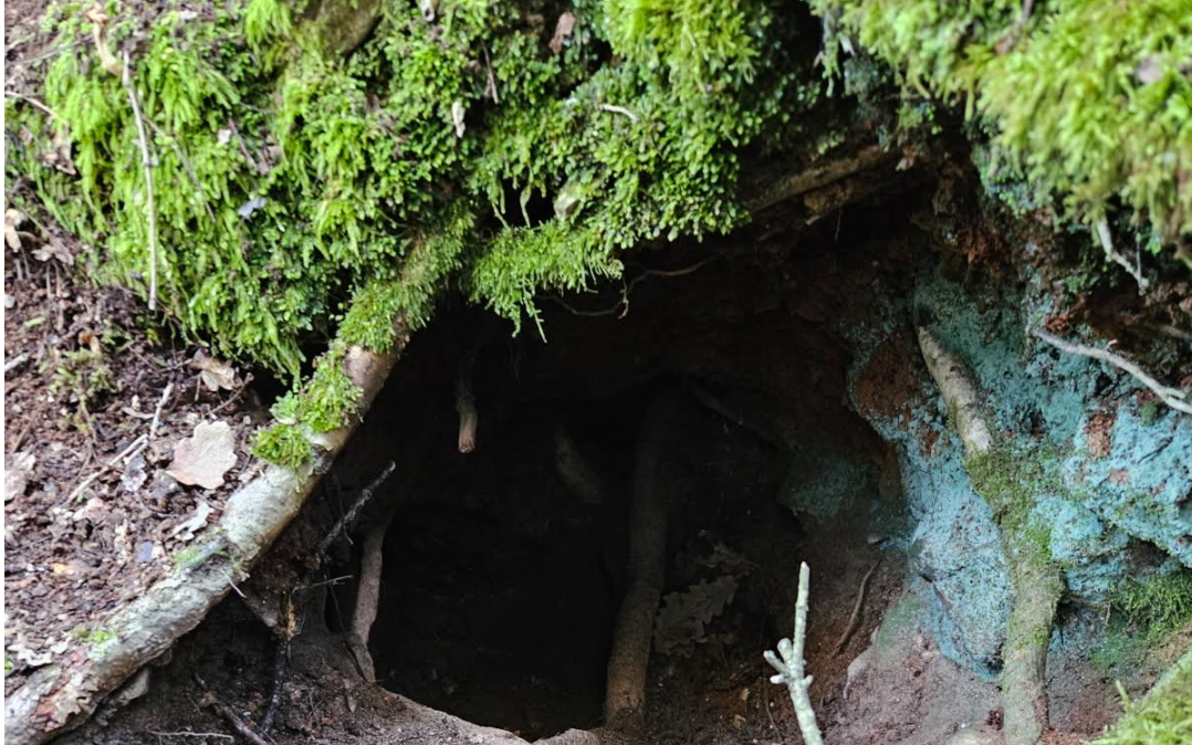 TOULON : Les sapeurs-pompiers interviennent pour le sauvetage de deux chiens bloqués dans deux failles à Cabasse et Sollies-Ville