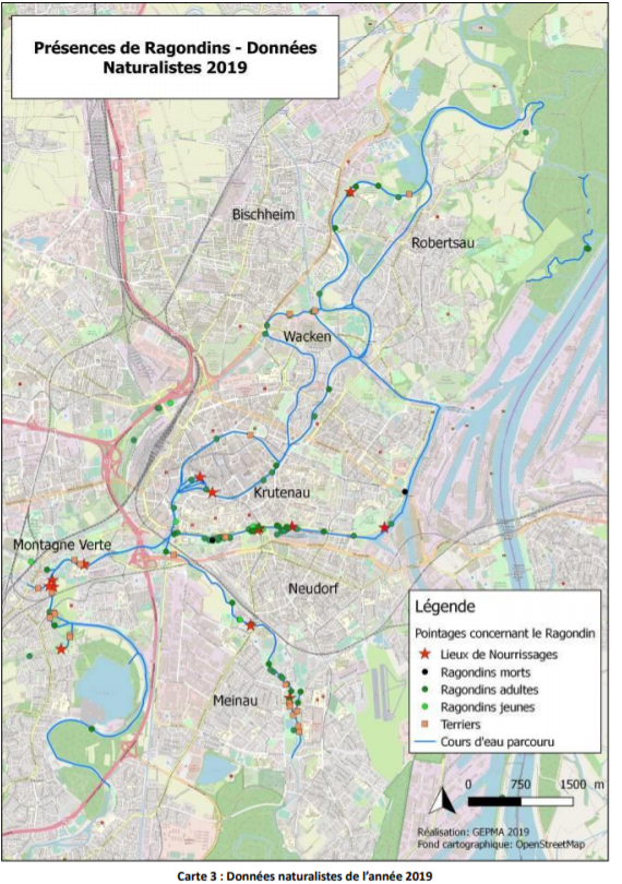 etude carte gepma 2019 ragondins credit Gepma