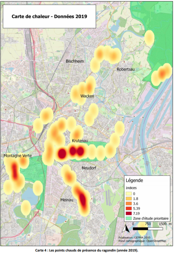etude carte gepma 2019 ragondins credit Gepma2