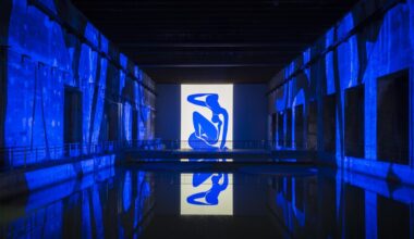 les premières images des prochains programmes consacrés à Henri Matisse et Frida Kahlo