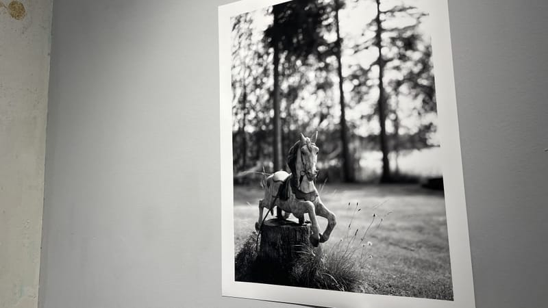 Exposition de Luca Battaglia à la galerie Le 33.