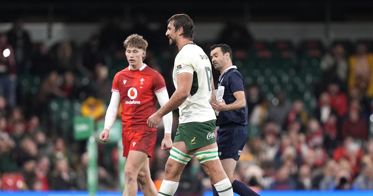 en vidéo, le geste effroyable qui pourrait valoir 208 semaines de suspension au Sud-Africain Etzebeth