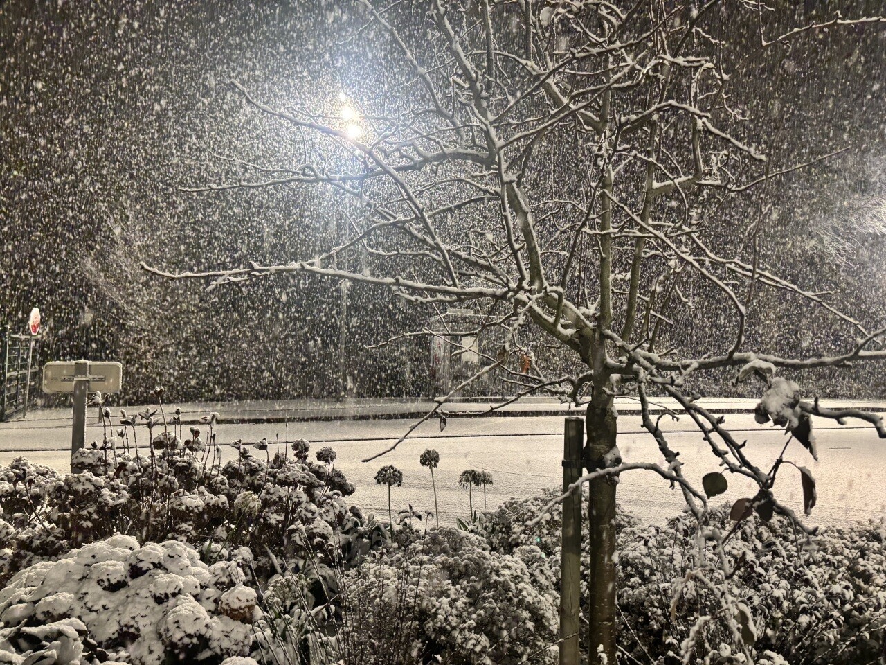 EN IMAGES. Après le coucher du soleil, la neige ensevelit le Sud du Calvados