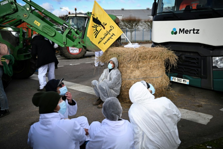 Des militants écologistes manifestent devant un site BASF à Saint-Aubin-Les-Elbeuf, en Seine-Maritime, le 17 novembre 2025 ( AFP / Lou BENOIST )