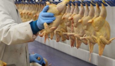 Dans le Morbihan, ces agriculteurs s'inquiètent d'un commerce mondial chahuté