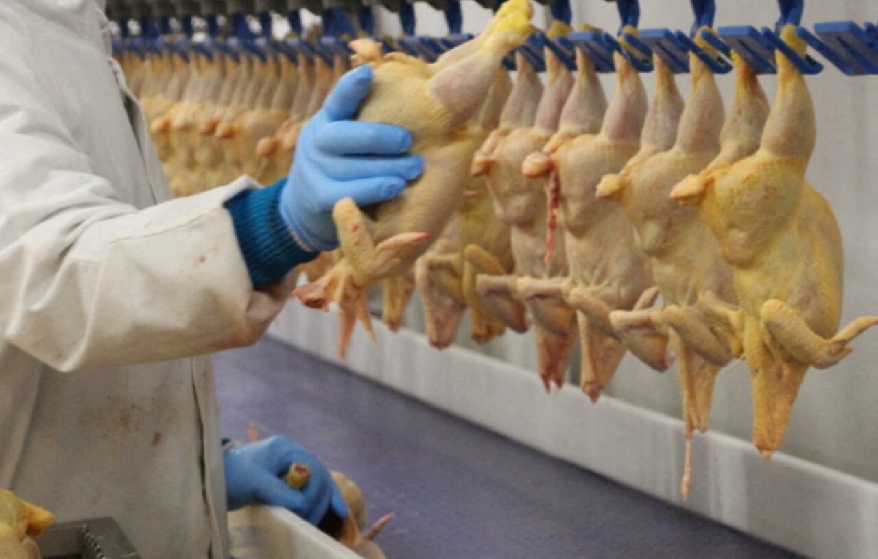 Dans le Morbihan, ces agriculteurs s'inquiètent d'un commerce mondial chahuté