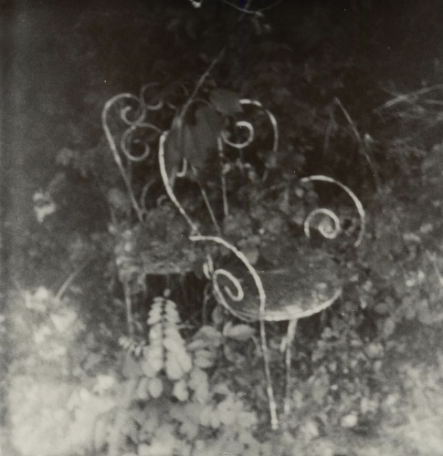 Federica Acierno (1)