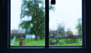 Un peu plus de soleil au programme ? Voici la météo de la semaine en Seine-Maritime