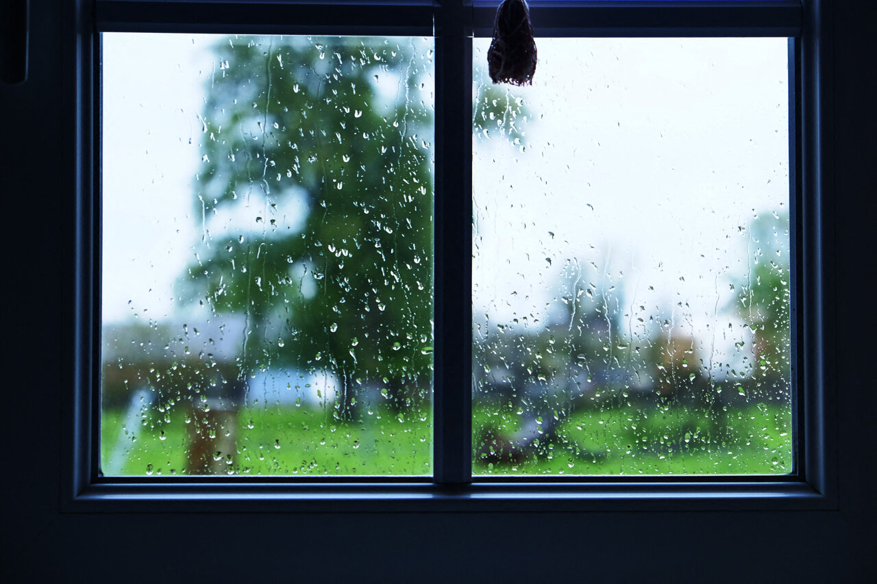 Un peu plus de soleil au programme ? Voici la météo de la semaine en Seine-Maritime