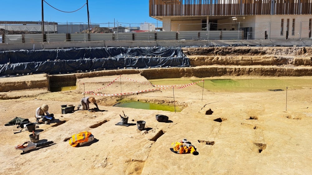 Un vignoble grec antique découvert sous les quartiers Nord à Marseille