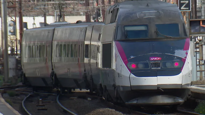 D'ici 2030, il y aura 30% de rames de TGV Ouigo en plus en circulation, assure la SNCF.