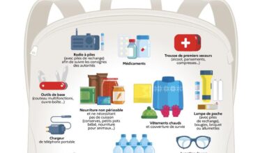 Guerres, catastrophes naturelles, pannes : que contient le kit de survie lancé par les autorités ?