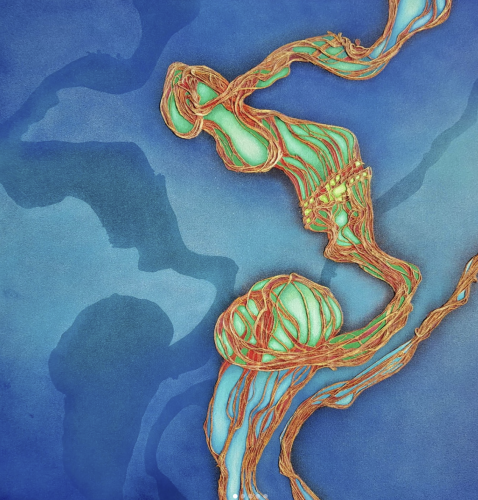 Galerie Aida Jean-Roch Klethi (1)