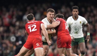 Les Springboks impitoyables