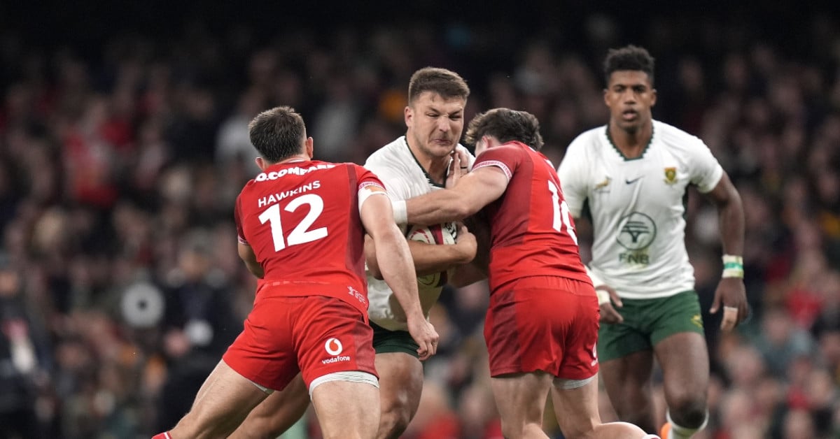 Les Springboks impitoyables