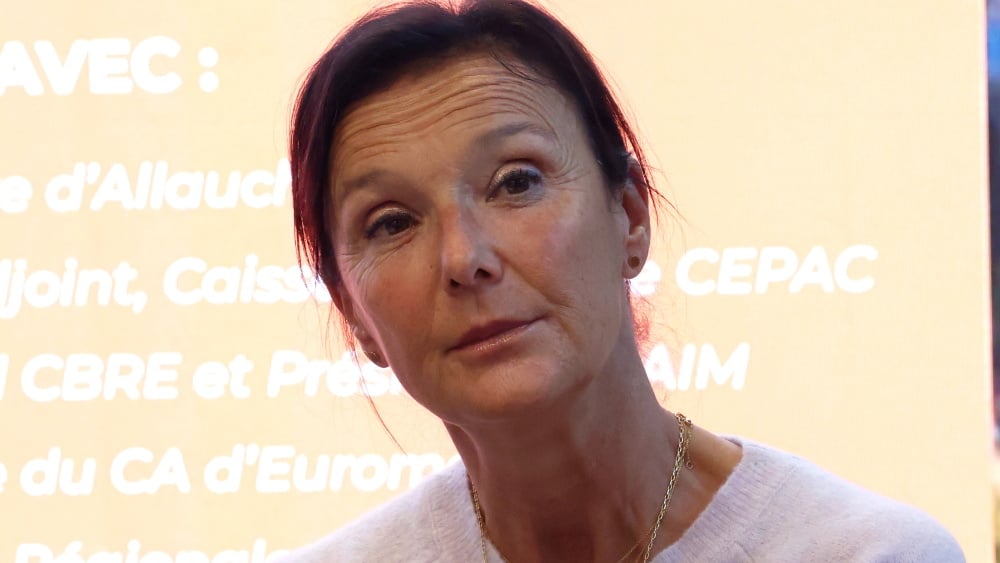 faux compte de soutien de LR à Franck Allisio (RN), Laure-Agnès Caradec saisit le parti