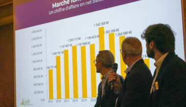 De Pauillac à Pomerol, les grandes AOC de Bordeaux n’en ont pas fini avec la dévalorisation de leur foncier :