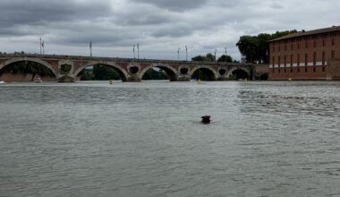 sortez les écharpes et les bonnets !