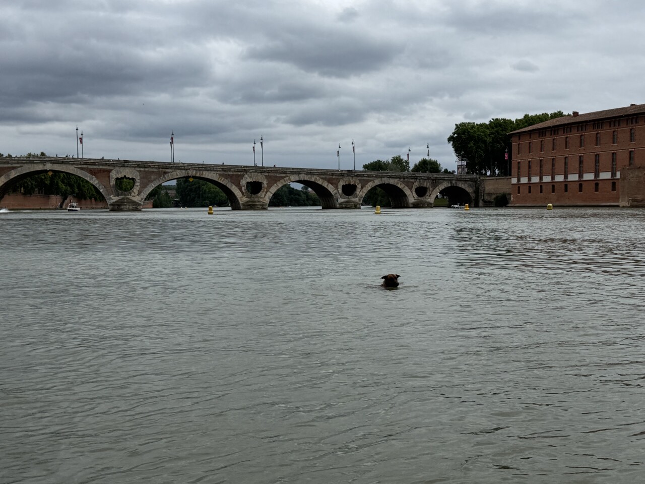 sortez les écharpes et les bonnets !