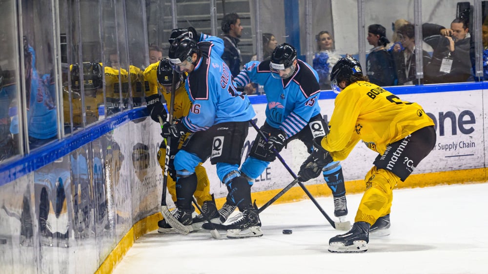 Hockey sur glace - Ligue Magnus : Marseille et Gap ont des raisons de se racheter