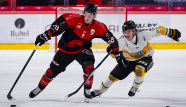 hockey sur glace u20 ligue espoir j11 gothiques amiens dragons rouen gazette sports theo begler 001