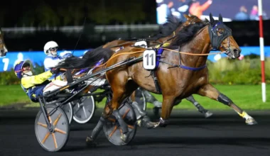 Quinté+: Quinté+ du lundi 1er décembre à Vincennes : Idéal de Castelle, le cheval à battre