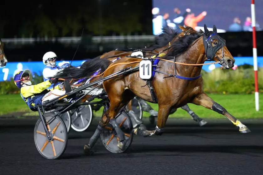 Quinté+: Quinté+ du lundi 1er décembre à Vincennes : Idéal de Castelle, le cheval à battre