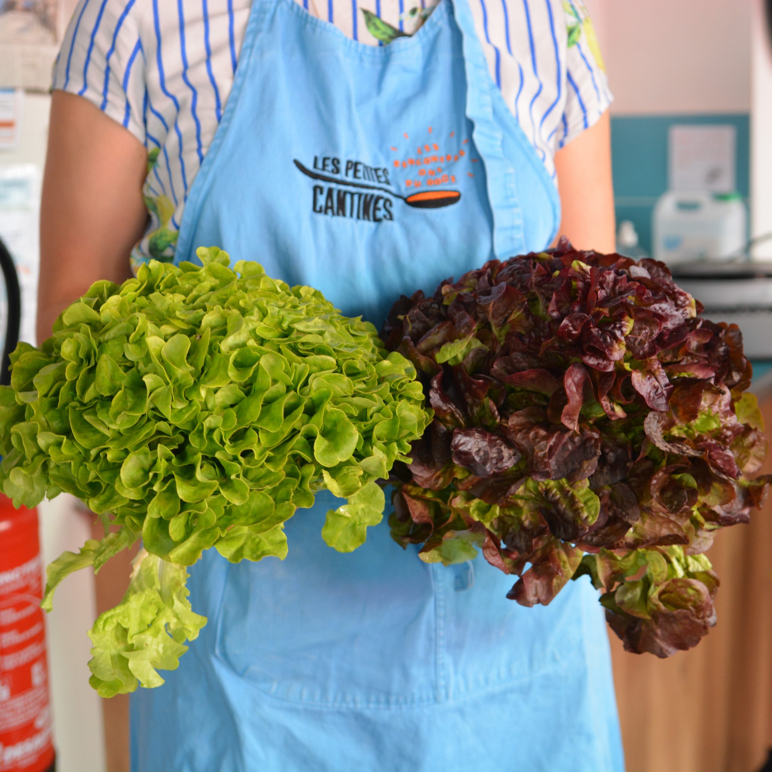 les petites cantines food