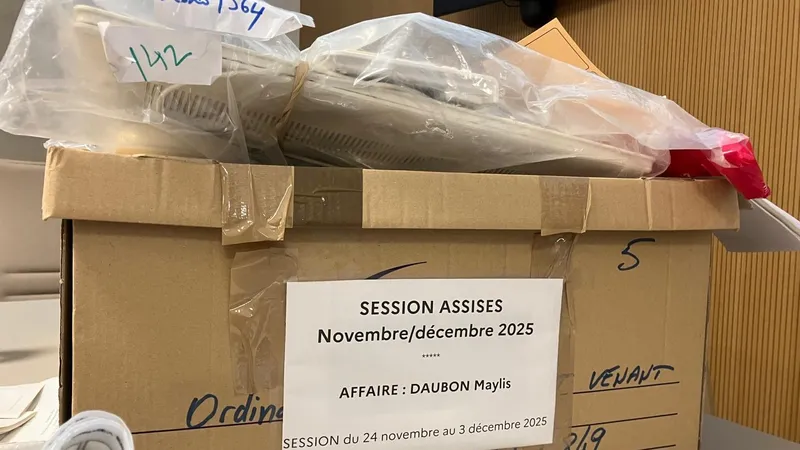 Le procès de Maylis Daubon s'est ouvert ce lundi 24 novembre à la cour d'assises des Landes, à Mont-de-Marsan.