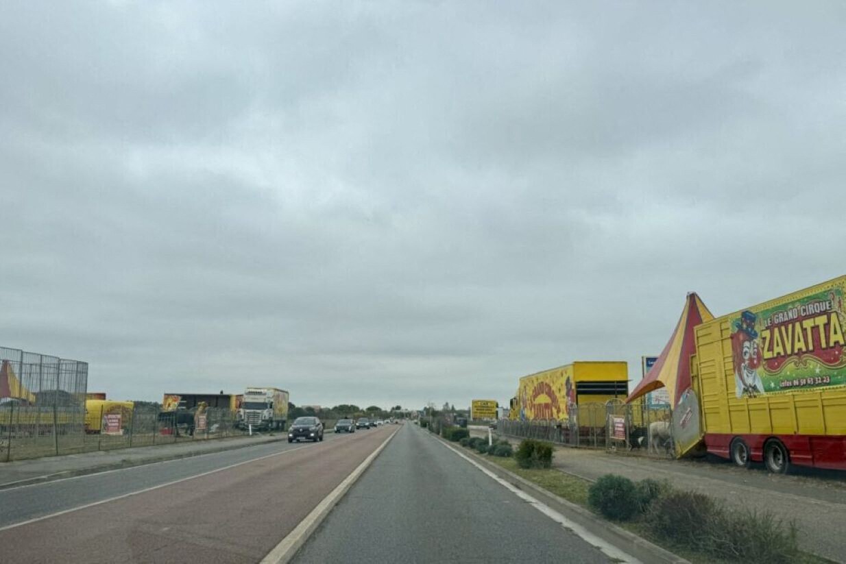 il est de retour à Toulouse