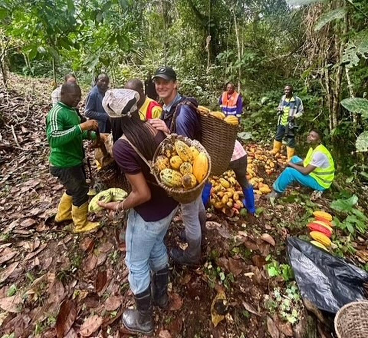 Les chocolatiers bordelais ont pu se rendre compte de la dureté du travail des cacaoculteurs.
