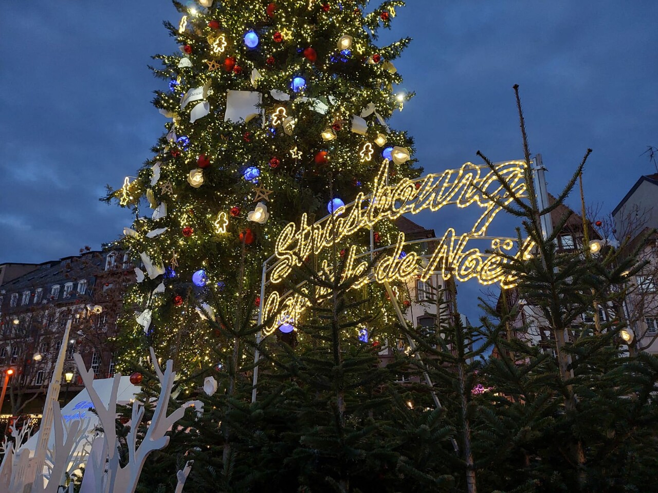 une chanteuse The Voice donnera un petit concert gratuit