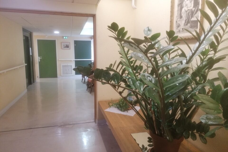 Dans les couloirs de la résidence, des fleurs et des bibelots ornés par les locataires.