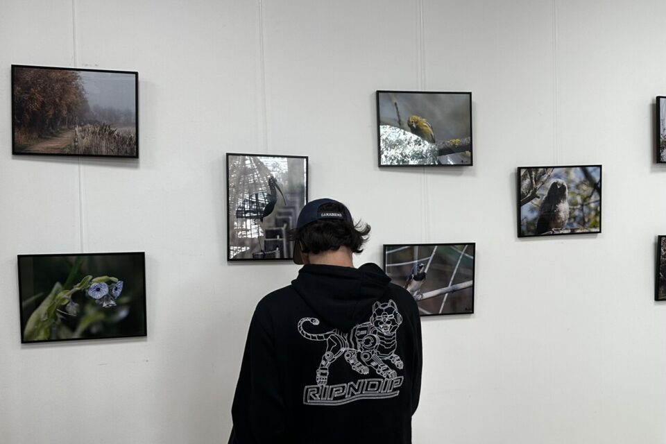 De nombreux promeneurs s'arrêtent un instant pour admirer ces moments de vies immortalisés.