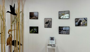 que se cache-t-il derrière le silence et la beauté des étangs du Méjean ?