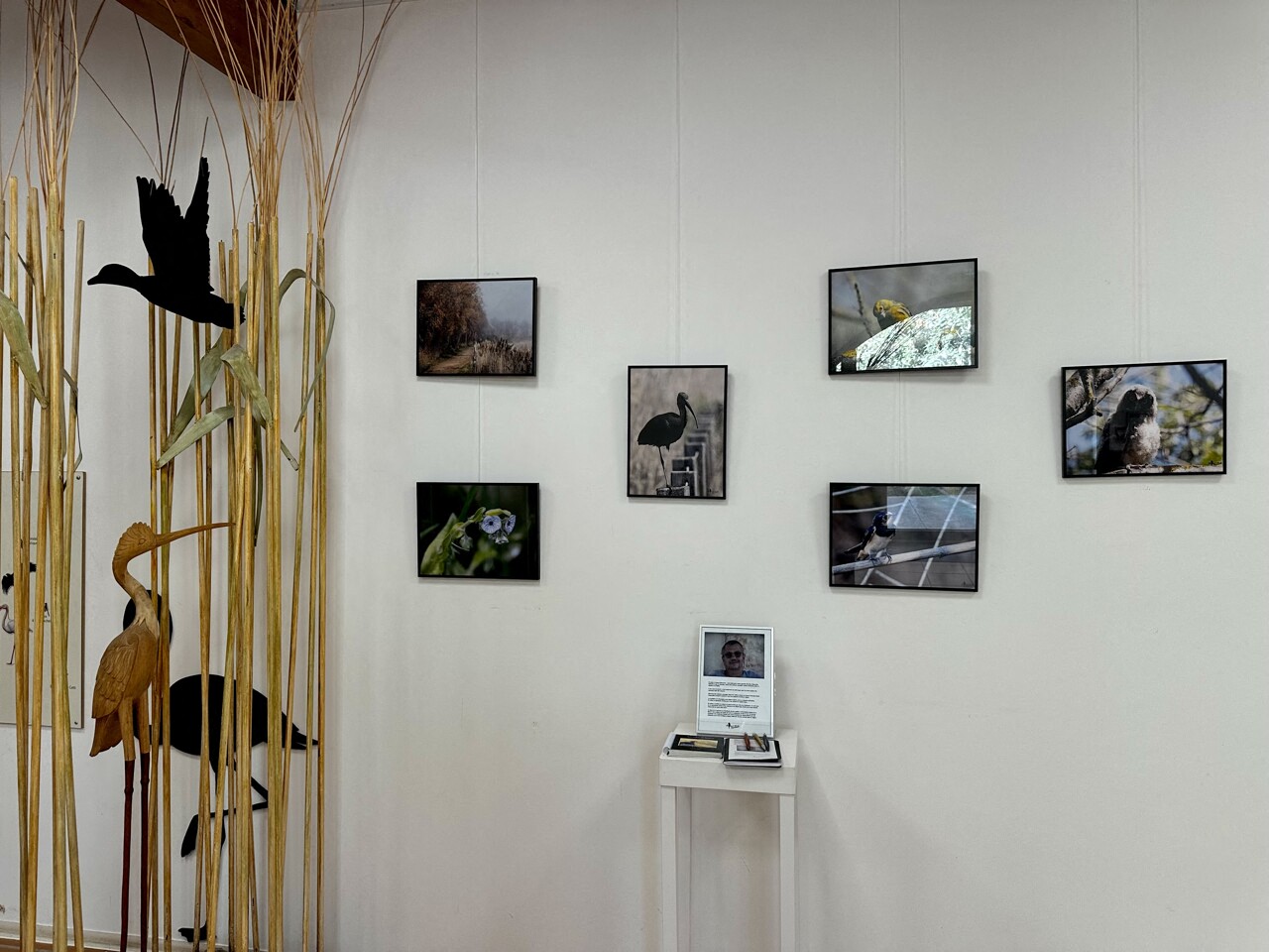 que se cache-t-il derrière le silence et la beauté des étangs du Méjean ?