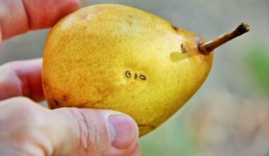 L'Occitanie en force dans ce salon professionnel à Paris et c'est bien naturel