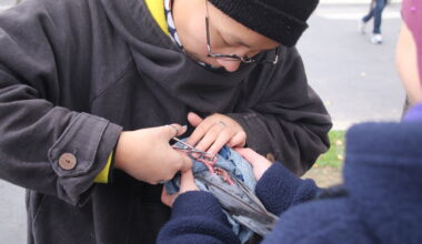 ce jeune collectif vole au secours des pigeons des rues et espère "faire changer le regard des gens"