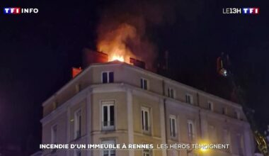 Incendie d'un immeuble à Rennes : les héros témoignent