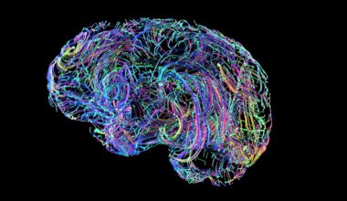 Voici les 4 âges auxquels le cerveau se restructure