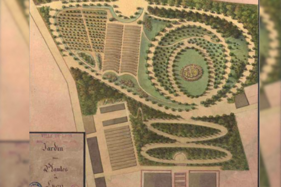 Voici à quoi ressemblait le jardin des plantes à Lyon selon Henri Margel-Filleux, architecte paysagiste. 