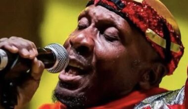 Le chanteur jamaïcain Jimmy Cliff, légende du reggae interprète du tube "Reggae Night", est décédé à l’âge de 81 ans, annonce sa femme sur Instagram
