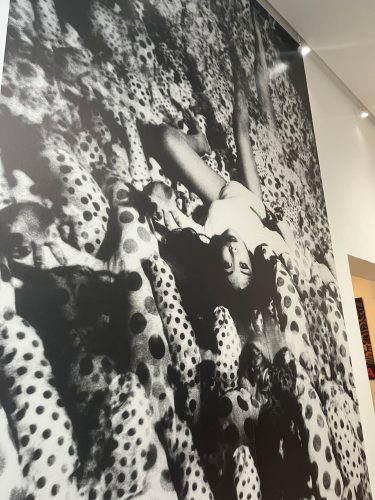 kusama artiste libre