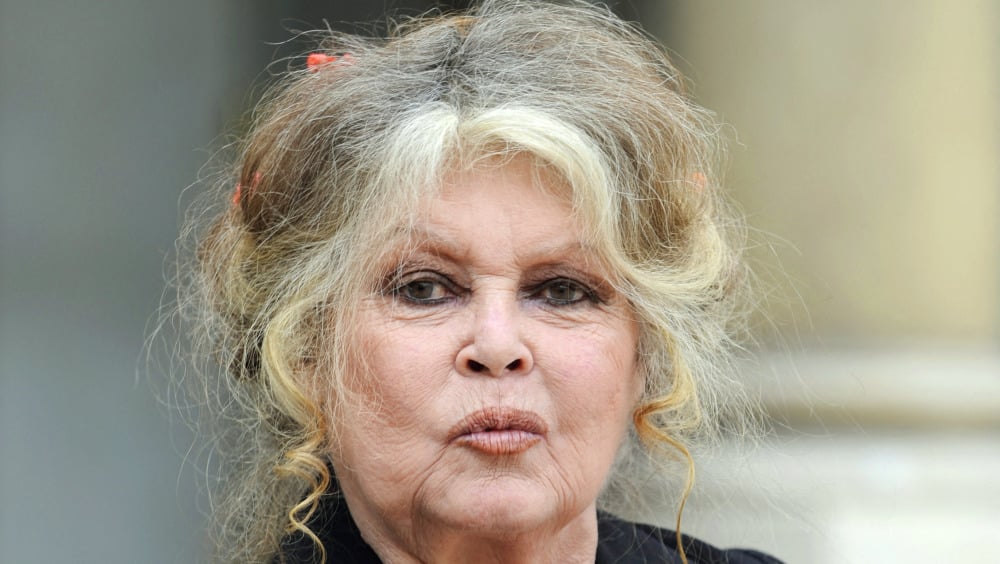 Brigitte Bardot de nouveau hospitalisée à Toulon depuis plusieurs jours